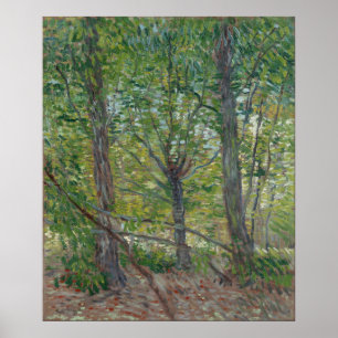 Träd av Vincent Van Gogh Poster