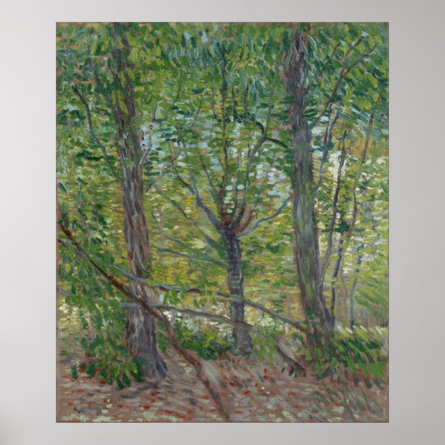 Träd av Vincent Van Gogh Poster (Framsidan)