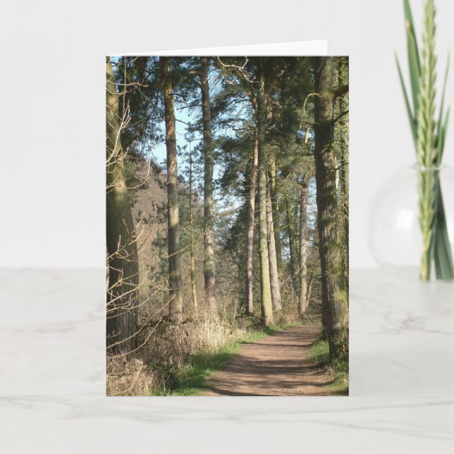 träd avenue kort (Framsida)