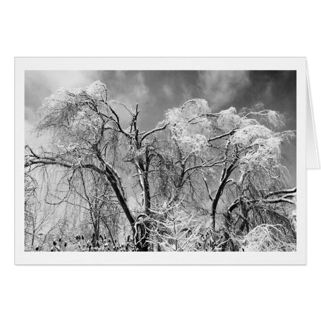 träd bära vinter hälsningskort (Framsidan Horizontal)