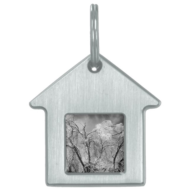 träd bära vinter ID-bricka husdjur (Framsidan)