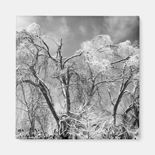 träd bära vinter magnet (Framsidan)