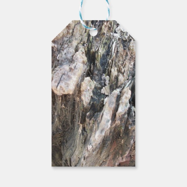 Träd Bark Abstrakt Presentetikett (Baksidan)