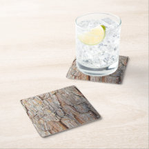 Träd Bark hösten Mönster