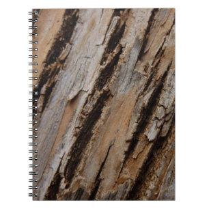 Träd Bark I Naturlig Abstrakt Texturerad design Anteckningsbok Med Spiral