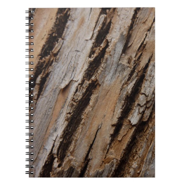 Träd Bark I Naturlig Abstrakt Texturerad design Anteckningsbok Med Spiral (Framsidan)