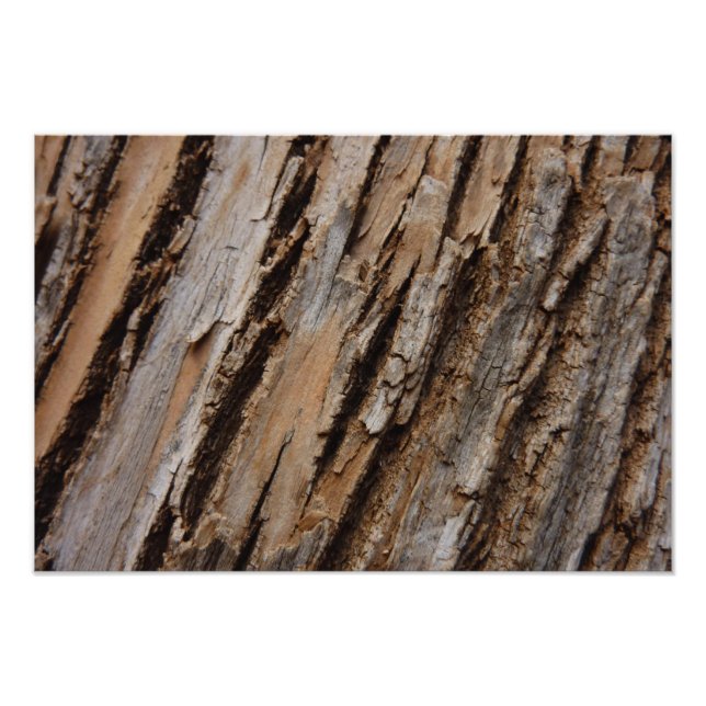 Träd Bark I Naturlig Abstrakt Texturerad design Fototryck (Framsidan)