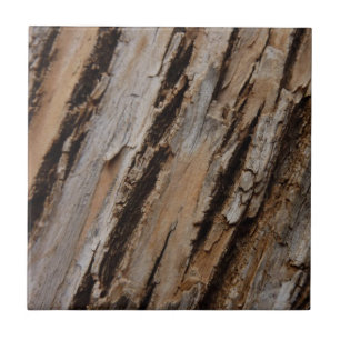 Träd Bark I Naturlig Abstrakt Texturerad design Kakelplatta