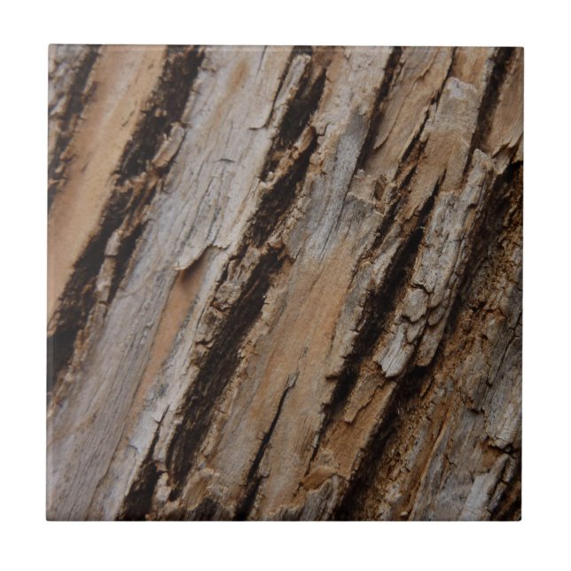 Träd Bark I Naturlig Abstrakt Texturerad design Kakelplatta (Framsidan)