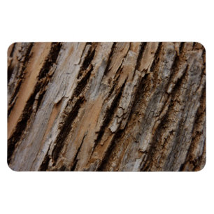 Träd Bark I Naturlig Abstrakt Texturerad design Magnet