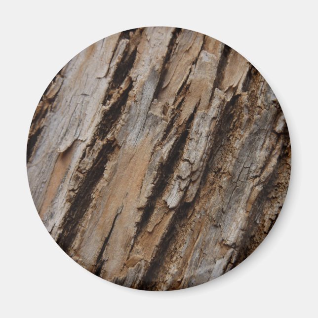 Träd Bark I Naturlig Abstrakt Texturerad design Magnet (Framsidan)