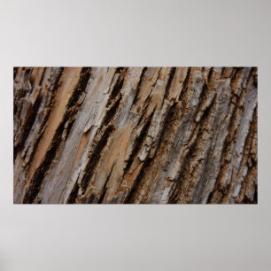Träd Bark I Naturlig Abstrakt Texturerad design Poster
