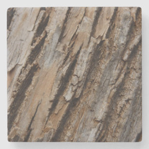 Träd Bark I Naturlig Abstrakt Texturerad design Stenunderlägg