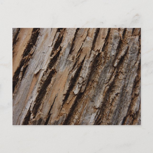 Träd Bark I Naturlig Abstrakt Texturerad design Vykort (Framsida)