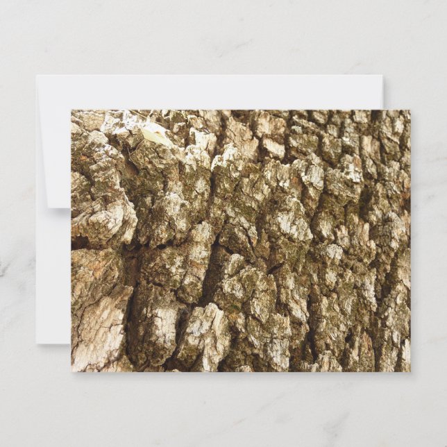 Träd Bark II Naturlig texturerad design (Framsida)