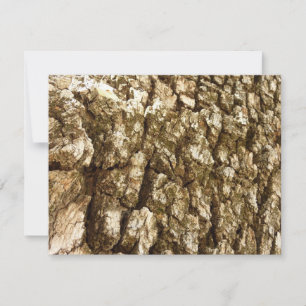 Träd Bark II Naturlig texturerad design