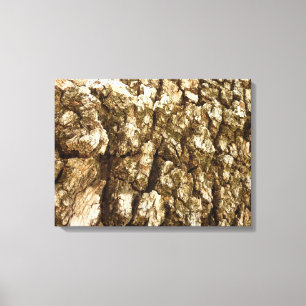 Träd Bark II Naturlig texturerad design Canvastryck