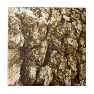 Träd Bark II Naturlig texturerad design Kakelplatta
