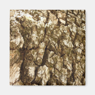 Träd Bark II Naturlig texturerad design Magnet