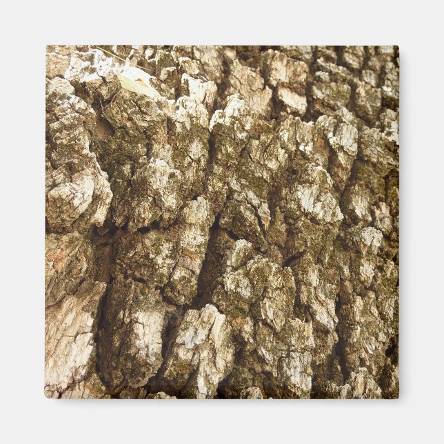 Träd Bark II Naturlig texturerad design Magnet (Framsidan)