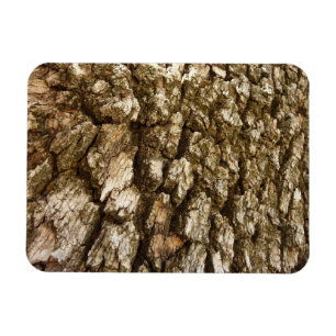 Träd Bark II Naturlig texturerad design Magnet