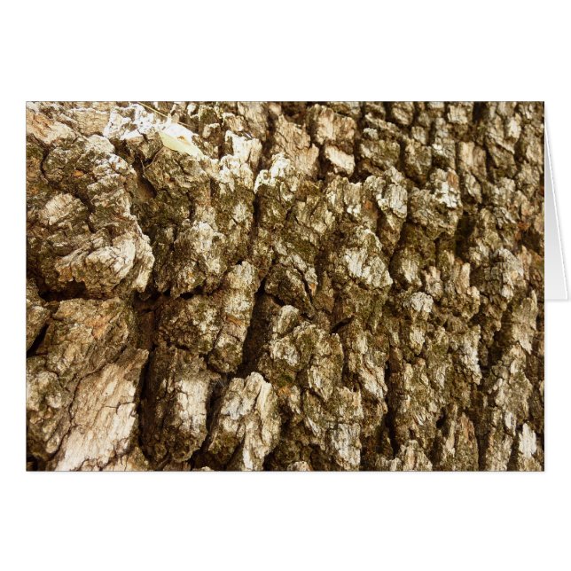 Träd Bark II Naturlig texturerad design OBS Kort (Framsidan Horizontal)
