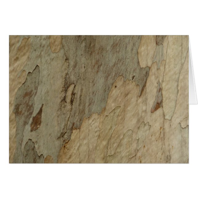 Träd Bark III Naturlig Abstrakt Texturerad design OBS Kort (Framsidan Horizontal)