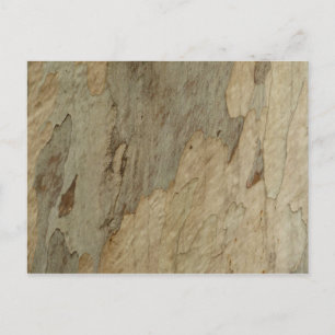 Träd Bark III Naturlig Abstrakt Texturerad design Vykort
