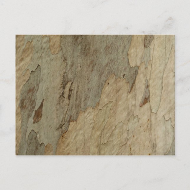 Träd Bark III Naturlig Abstrakt Texturerad design Vykort (Framsida)