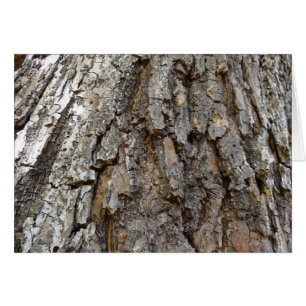Träd Bark IV Abstrakt Natur OBS Kort