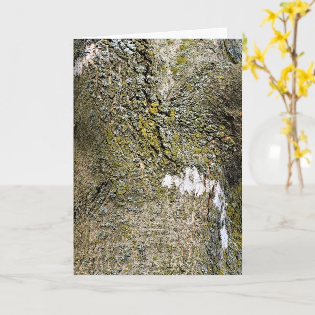 Träd Bark med Moss Close Up Kort (Gul blomma)