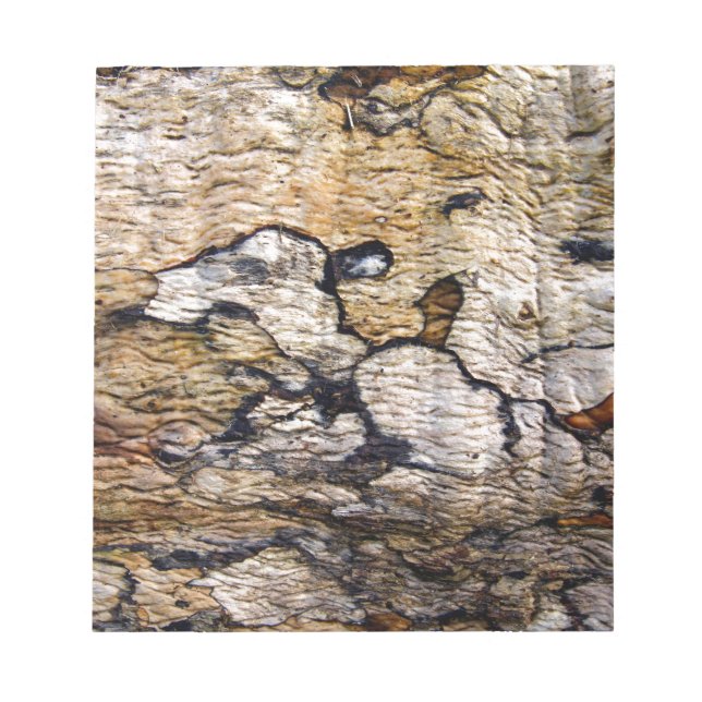 Träd bark mönster anteckningsblock (Framsida)