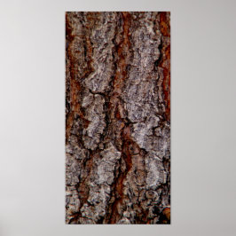 träd bark poster