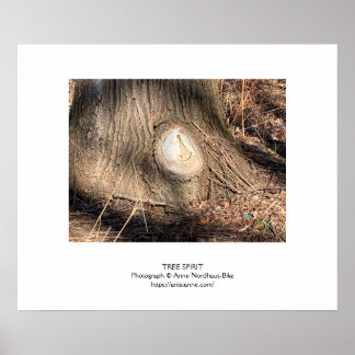 Träd Bark Struktur Large Knothole Poster
