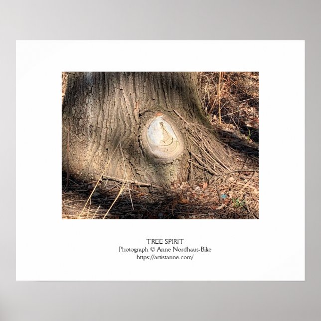 Träd Bark Struktur Large Knothole Poster (Framsidan)