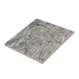 Träd Bark Tile Kakelplatta