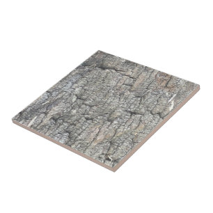 Träd Bark Tile Kakelplatta