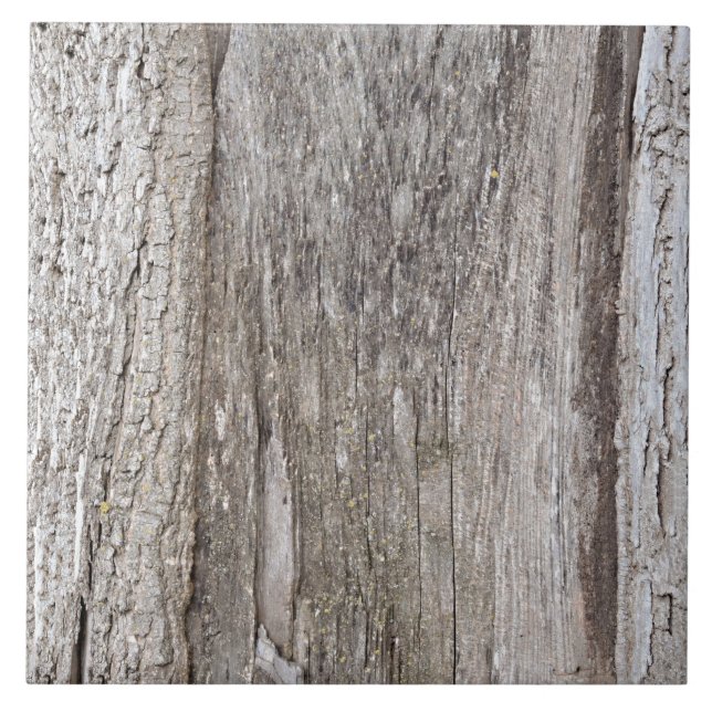 Träd Bark Tile Kakelplatta (Framsidan)