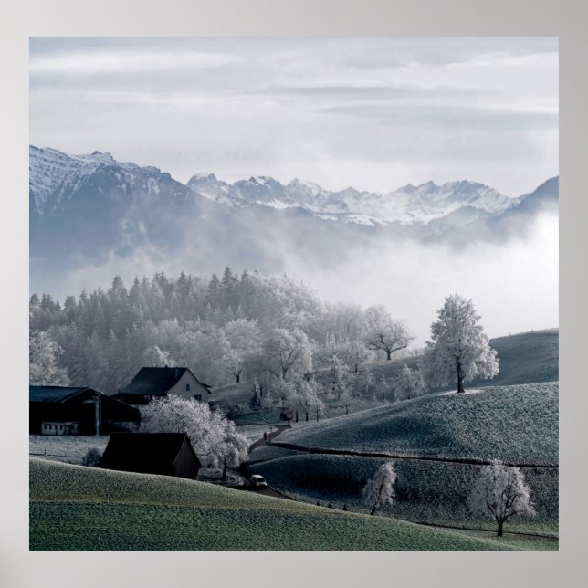 TRÄD BESIDE SNÖ CAPPED MOUNTAIN UNDER DAGEN POSTER (Framsidan)