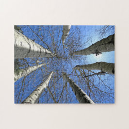 Träd Björk Natur Skog. Pussel