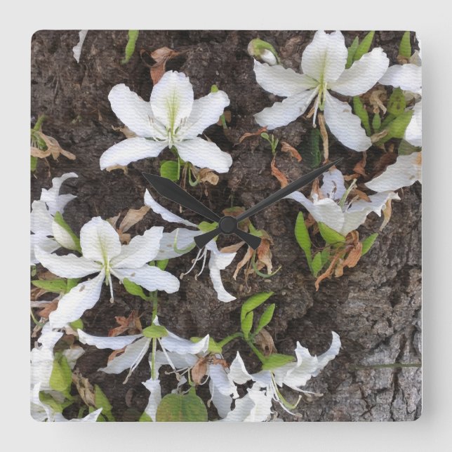 Träd blommor fyrkantig klocka (Framsida)