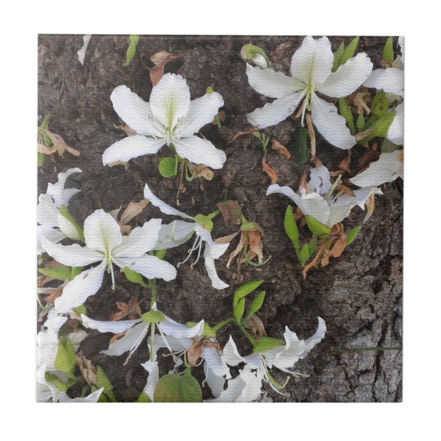 Träd blommor kakelplatta (Framsidan)