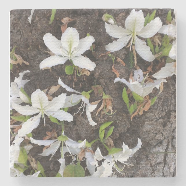 Träd blommor stenunderlägg (Framsidan)