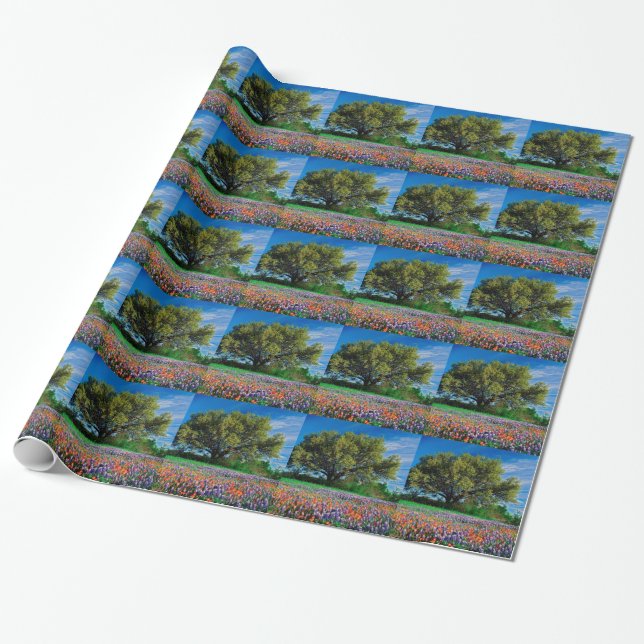 Träd bor oaken bland Texas Bluebonnets Presentpapper (Utrullad)