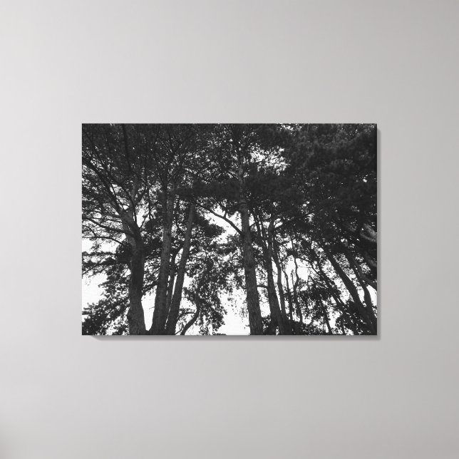 Träd Canopy II, Bute Park, Cardiff Canvastryck (Framsida)