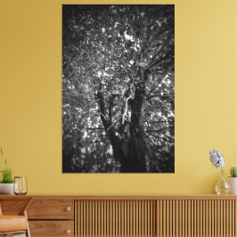 Träd Canvastryck