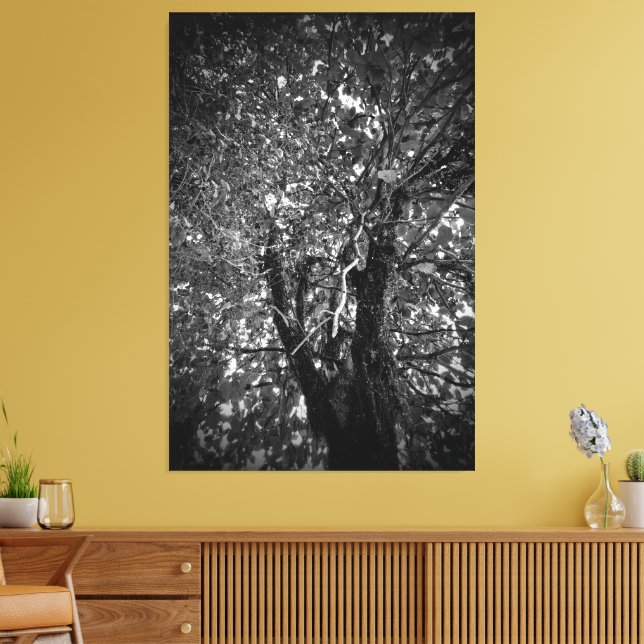 Träd Canvastryck (Insitu (Vardagsrum))