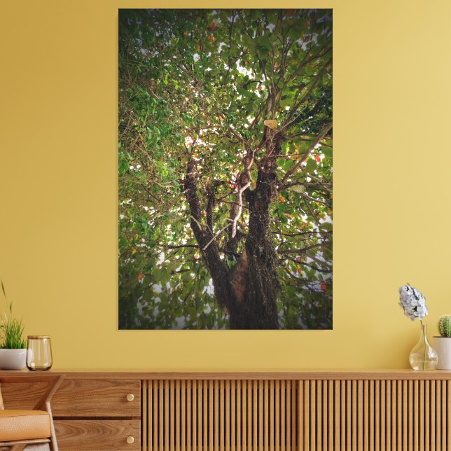 Träd Canvastryck (Insitu (Vardagsrum))