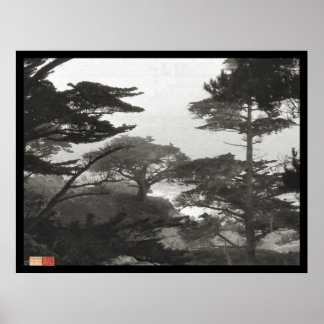 Träd - Carmel By the Sea, Kalifornien Poster