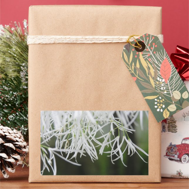 Träd (Chionanthus virginicus) Rektangulärt Klistermärke (Semester)